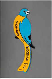 photo of blue bird pin which reads "votes for women nov 2"