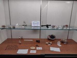 Display case with minerals, crystals, and shark teeth collected by Oskar and Bea