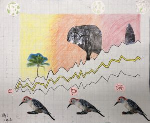 A graph with a gradient that shades from yellow to red indicating rising temperatures and showing three instances of the same bird becoming increasingly unhappy with the change.
