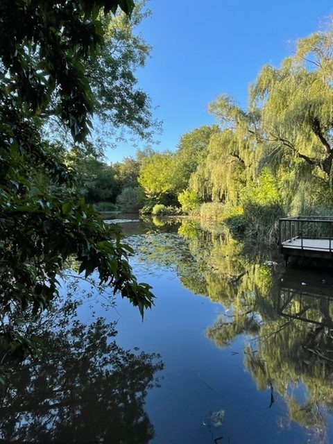 photo of hall's pond sanctuary