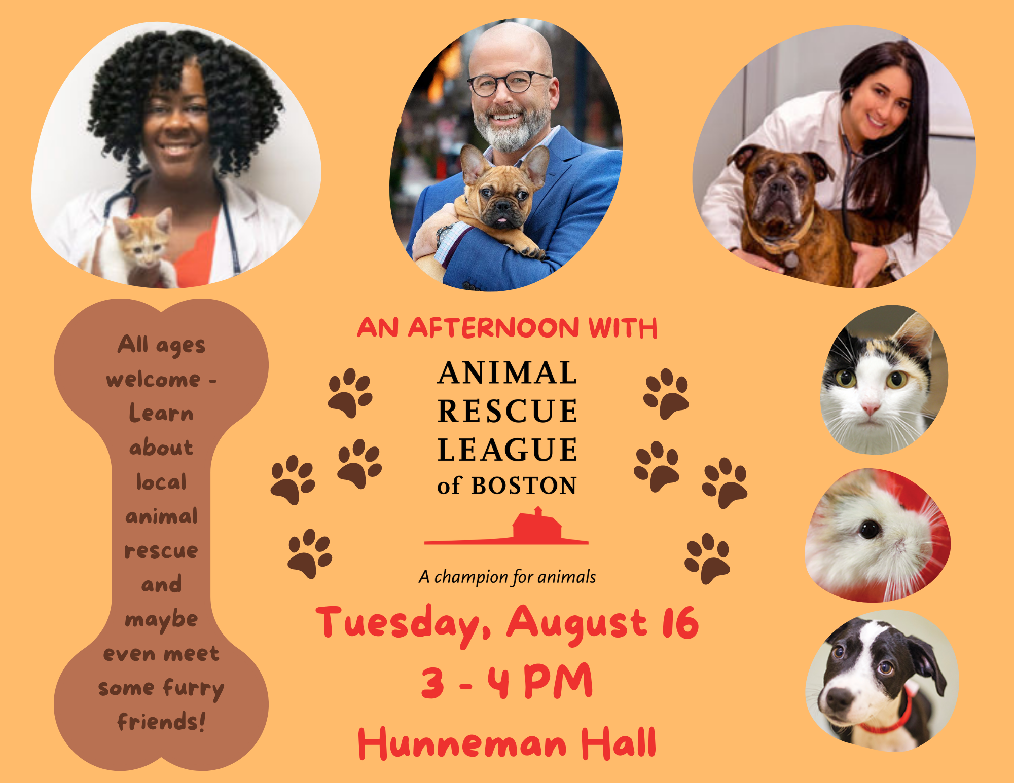An Afternoon with The Animal Rescue League of Boston - Public Library of  Brookline
