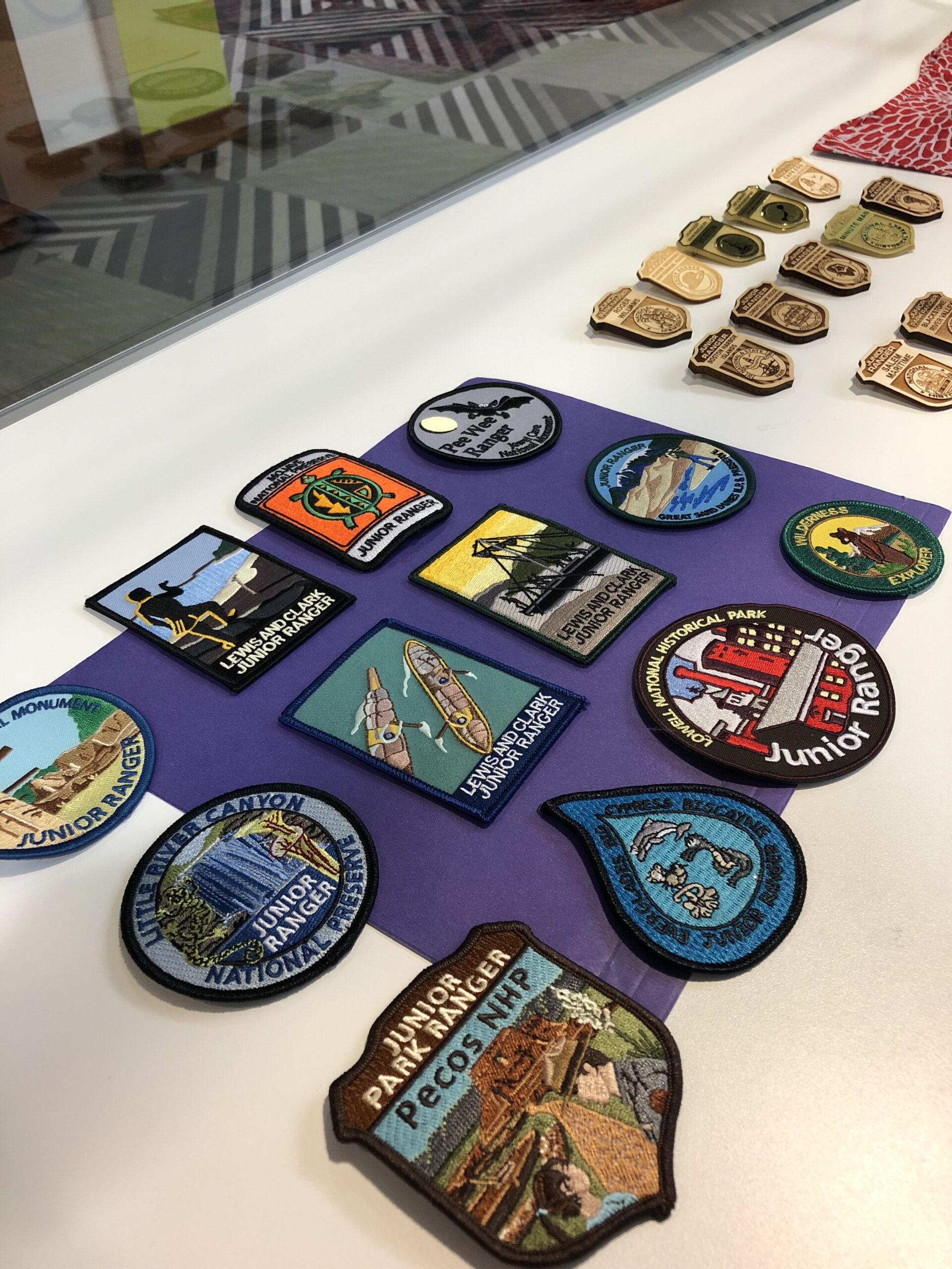 Collection of Junior Ranger National Park badges in a display case