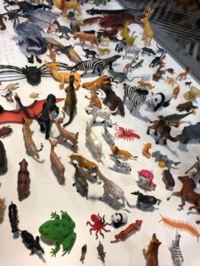 A large collection of plastic toy animals in a display case