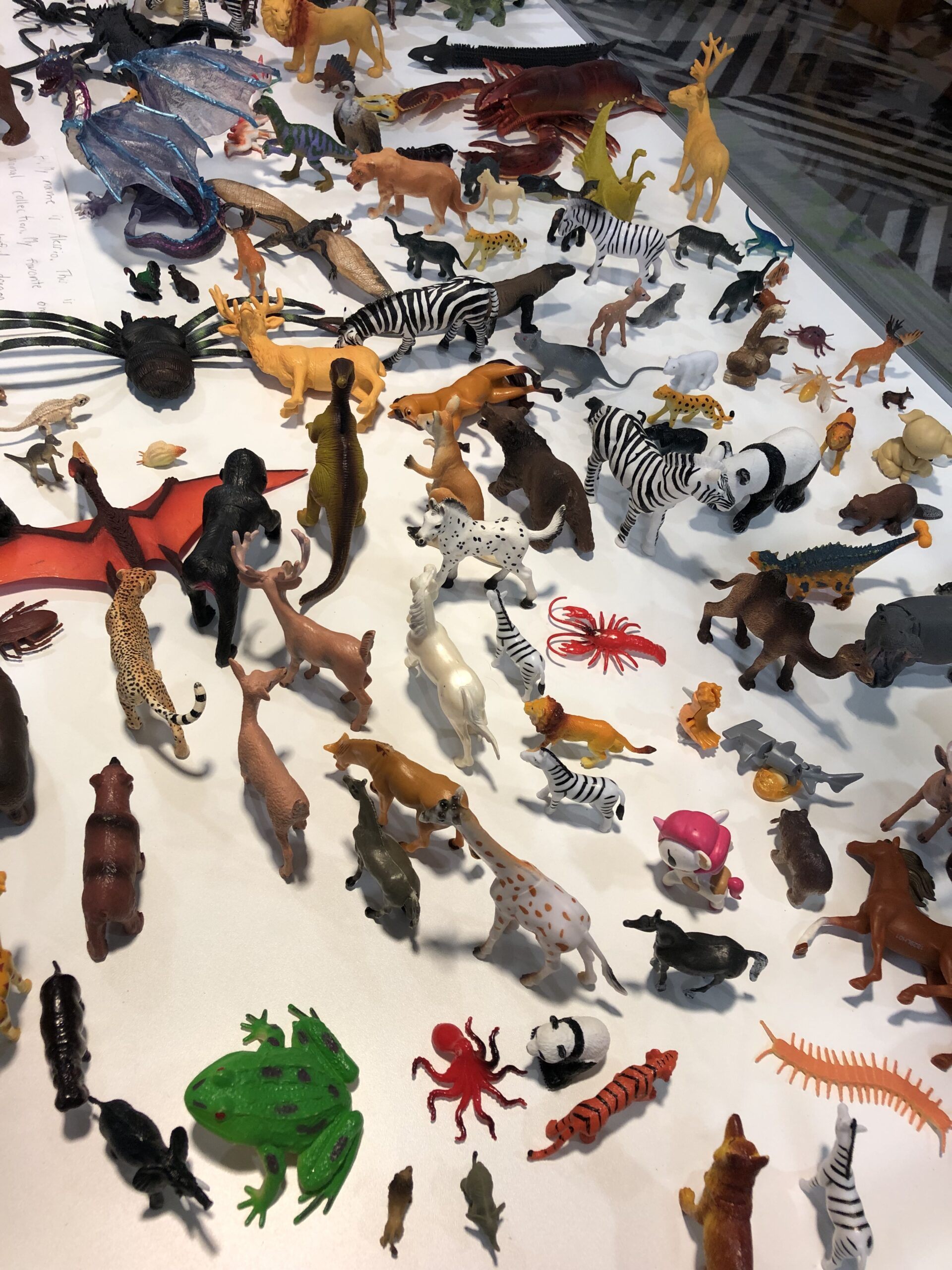 Alessio's Toy Animals and Emma's Assorted Owl Collection - Public ...
