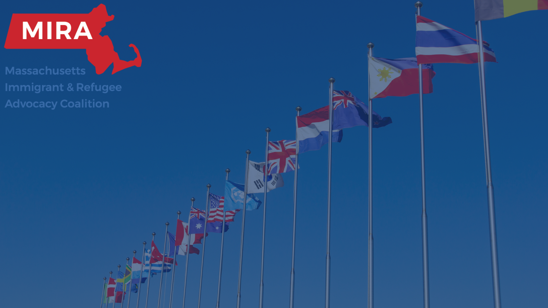 mira logo with flags