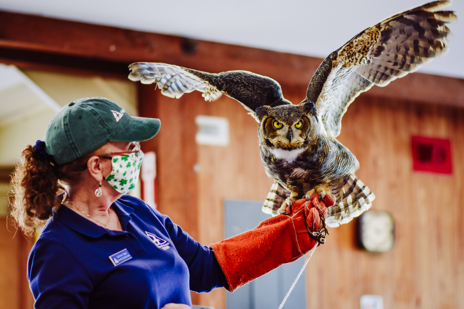 Audubon Center for Birds of Prey - All You Need to Know BEFORE You