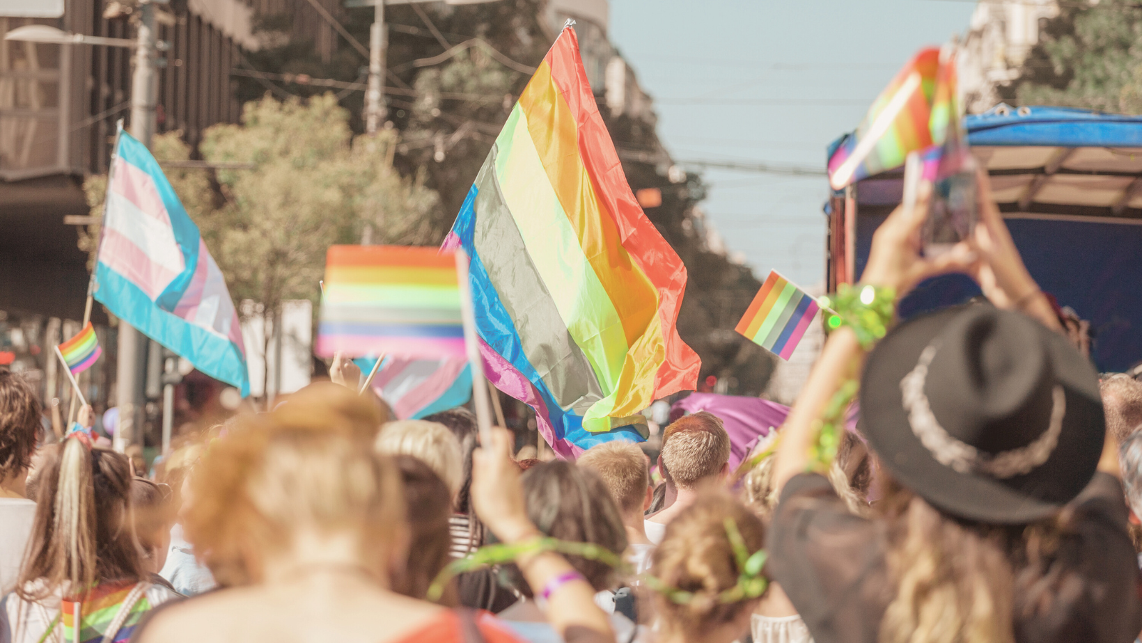 ID: A crowd of people seen from behind, holding rainbow and trans pride flags.