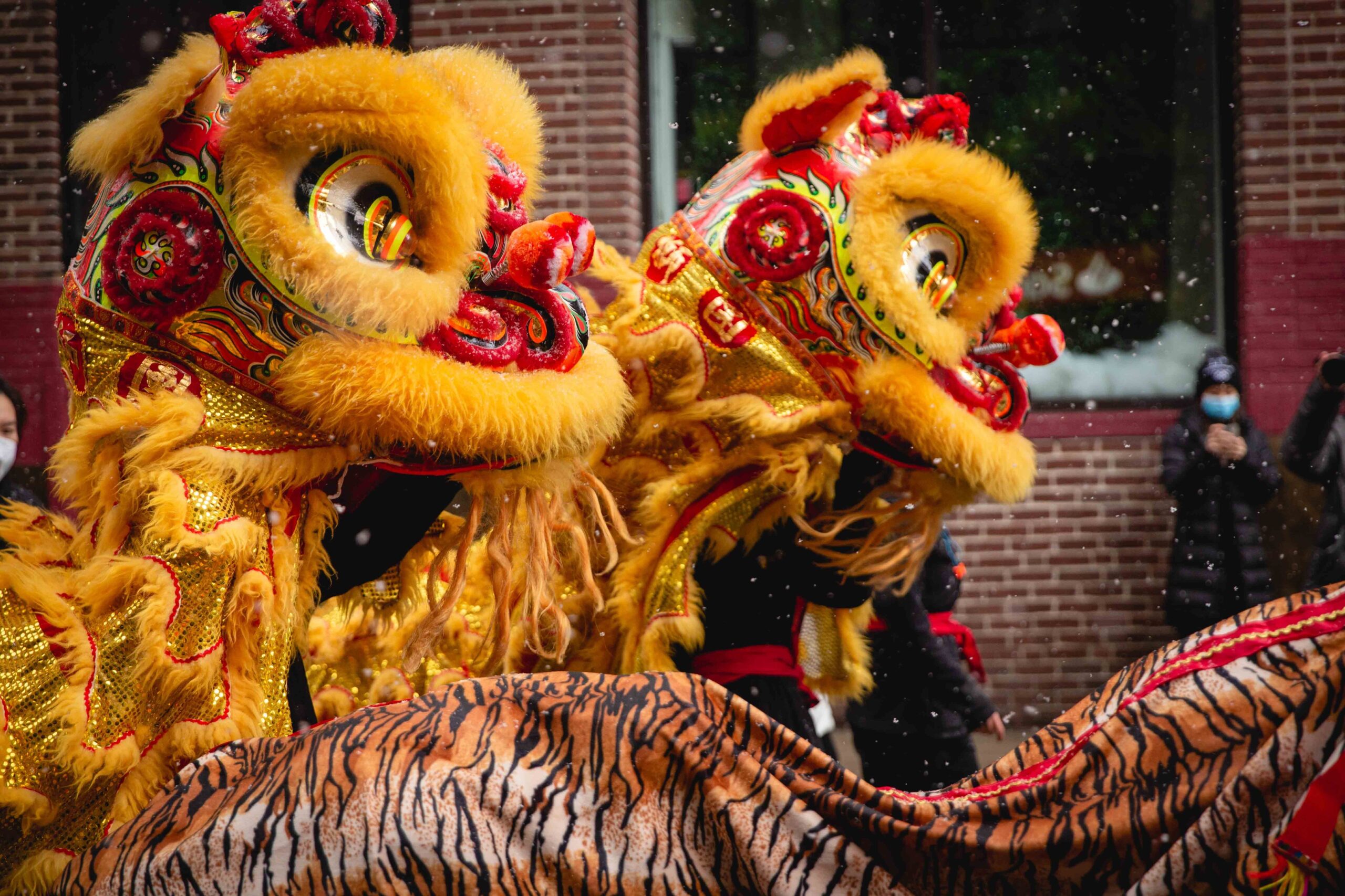 two lion dance performers in traditional lion dance costumes