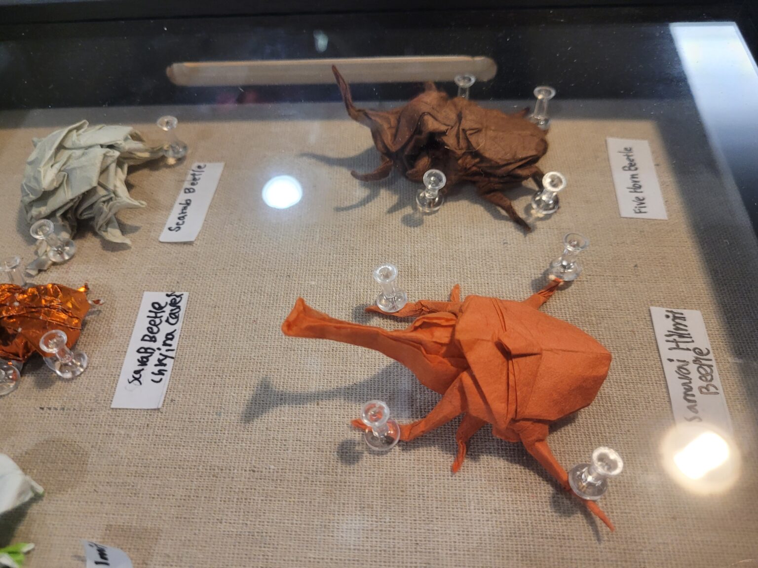 Milena's Hot Wheels Collection and Hank's Origami Insects Collection